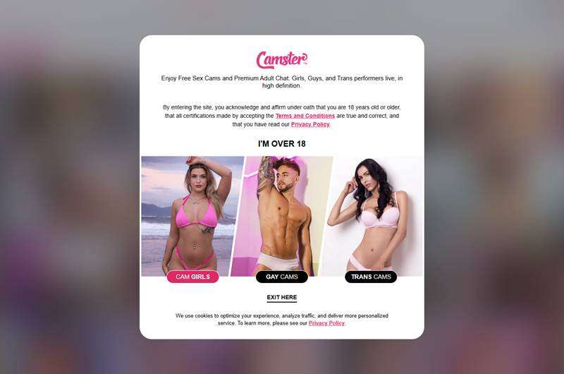 Copertina della recensione di Camster, sito riservato ai maggiorenni