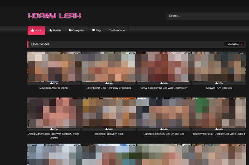 Copertina della recensione di Hornyleak, sito riservato ai maggiorenni
