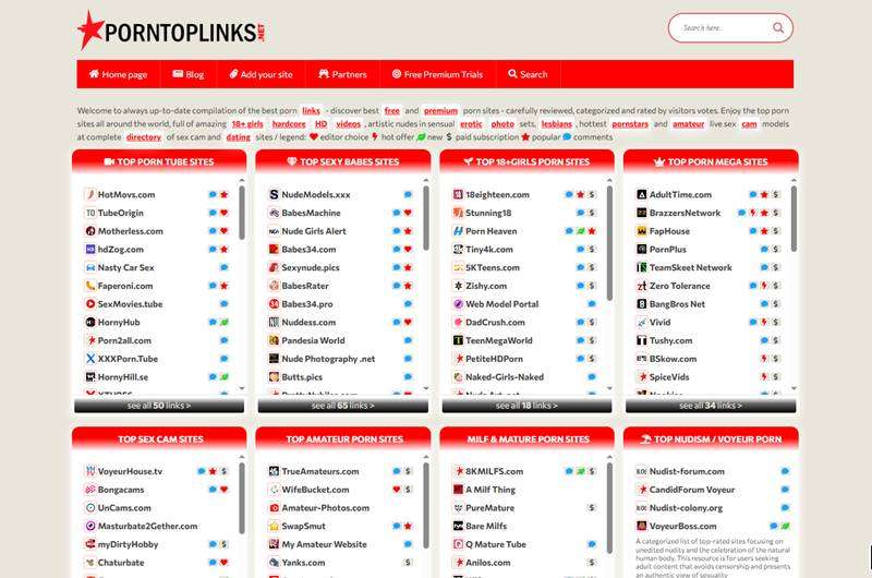 Copertina della recensione di Porn Top Links, sito riservato ai maggiorenni