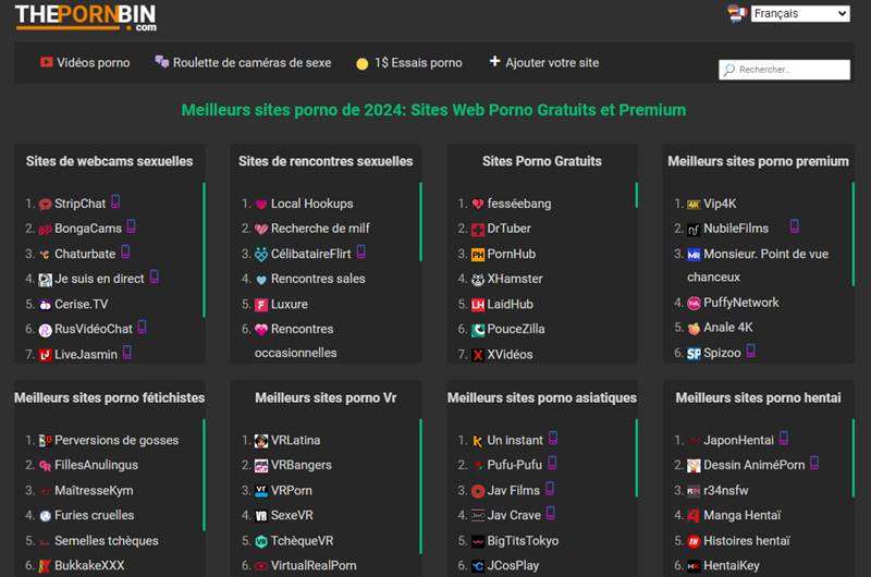 Copertina della recensione di The Porn Bin, sito riservato ai maggiorenni